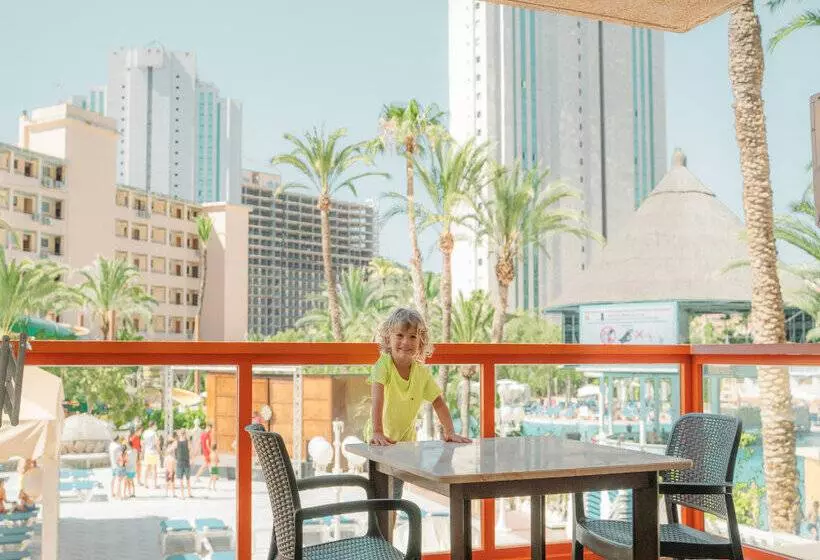 Magic Tropical Splash