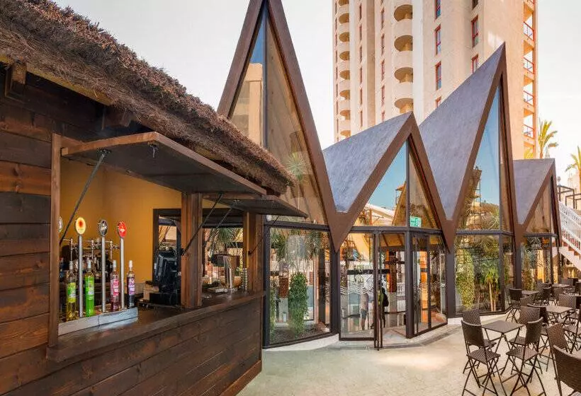 Magic Tropical Splash