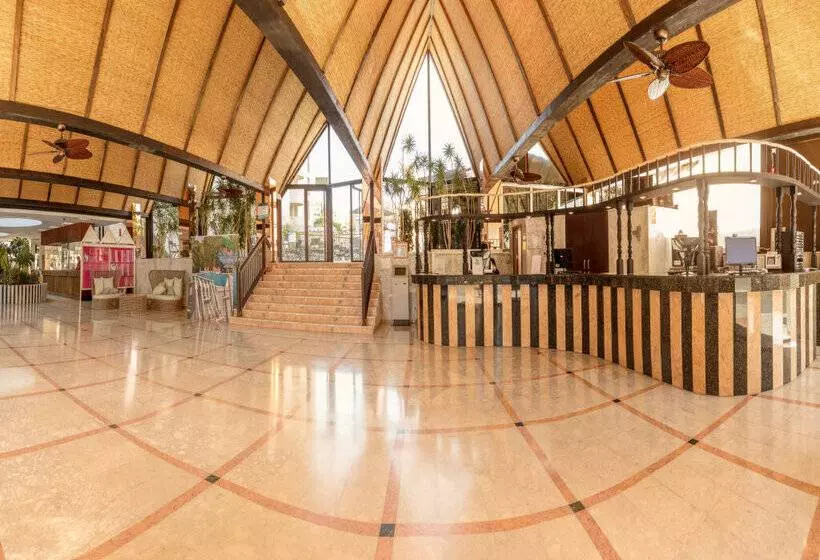 Magic Tropical Splash