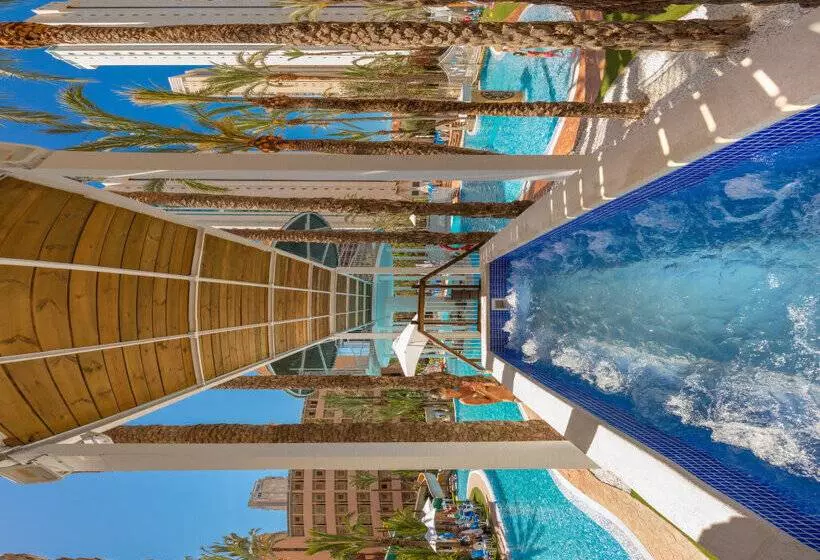 Magic Tropical Splash