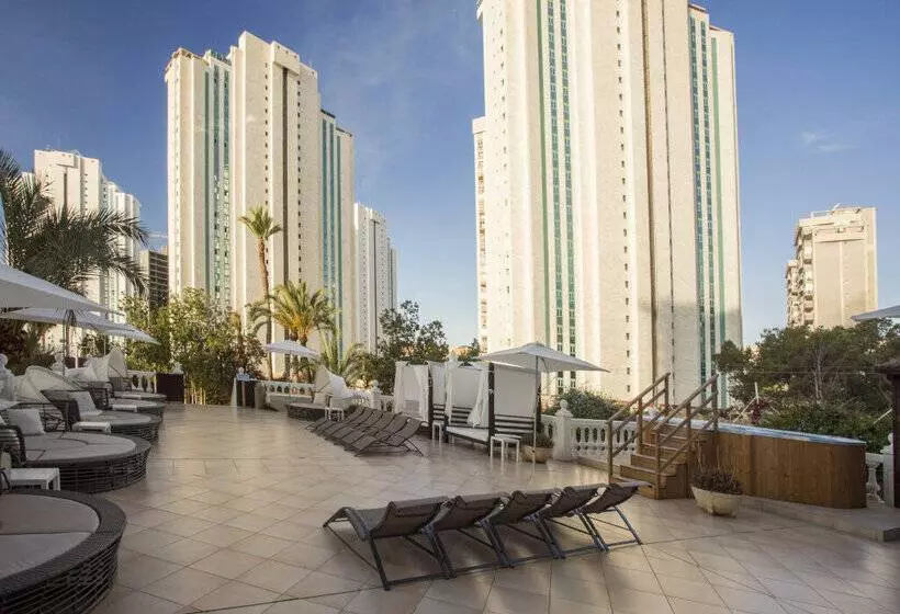 Magic Tropical Splash