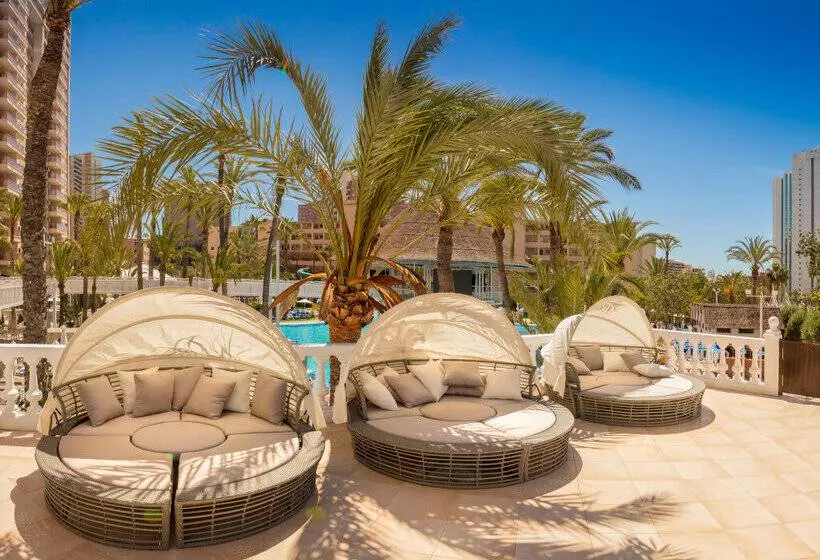 Magic Tropical Splash