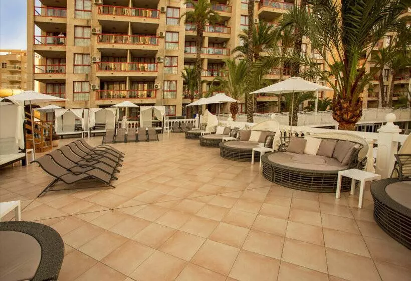 Magic Tropical Splash