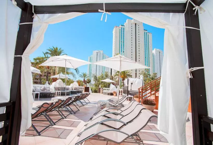 Magic Tropical Splash