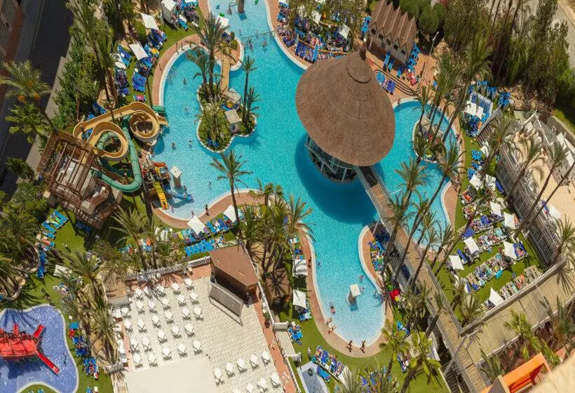 Magic Tropical Splash