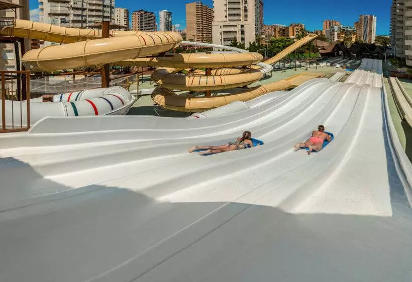 Magic Tropical Splash