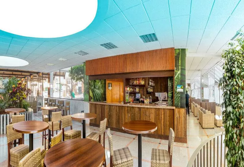 Magic Tropical Splash