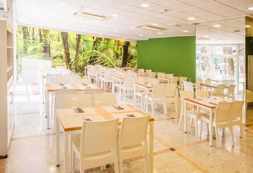 Magic Tropical Splash