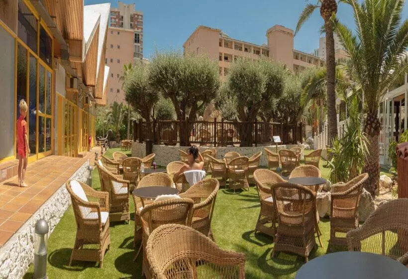 Magic Tropical Splash