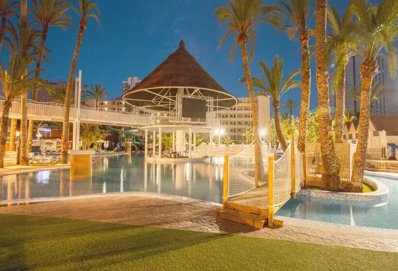 Magic Tropical Splash