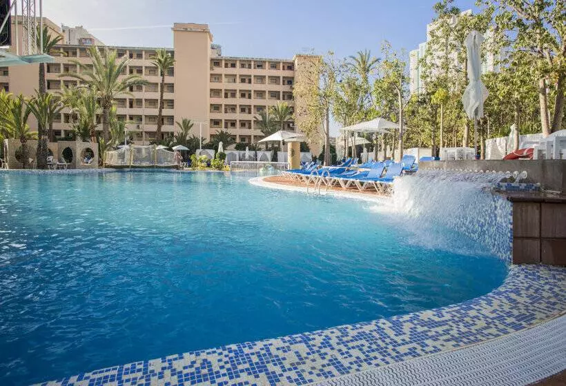 Magic Tropical Splash