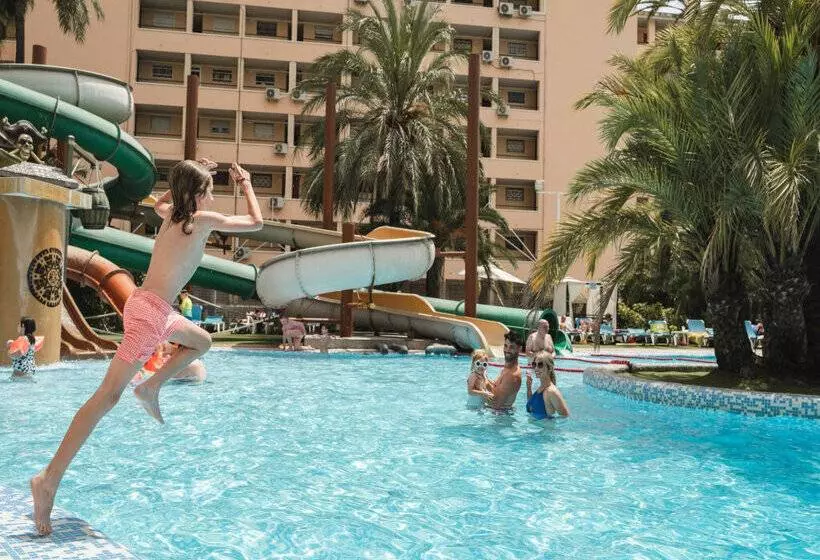 Magic Tropical Splash