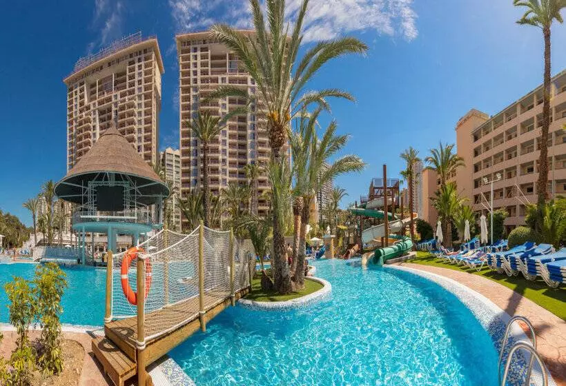 Magic Tropical Splash