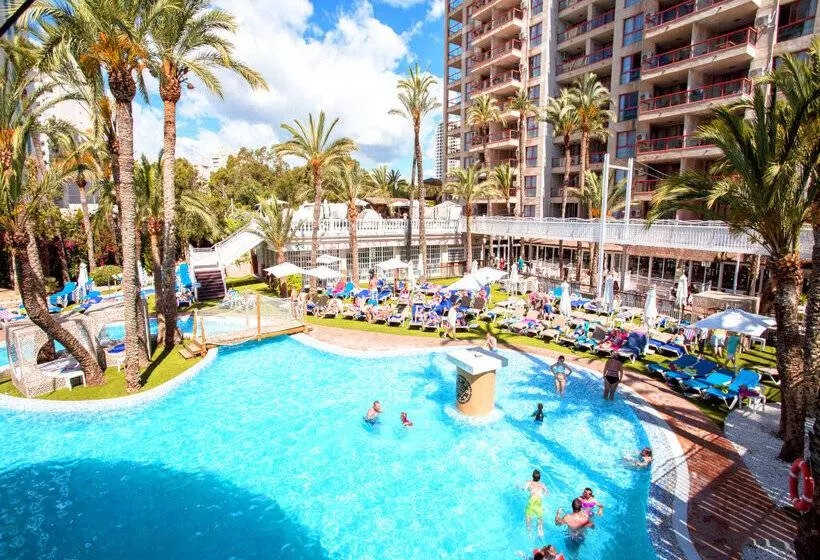 Magic Tropical Splash