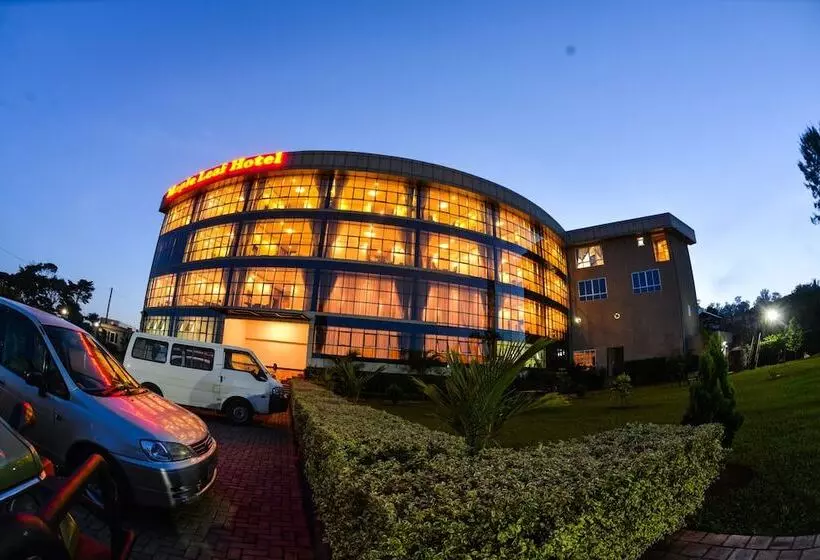 تختخواب و صبحانه Maple Leaf