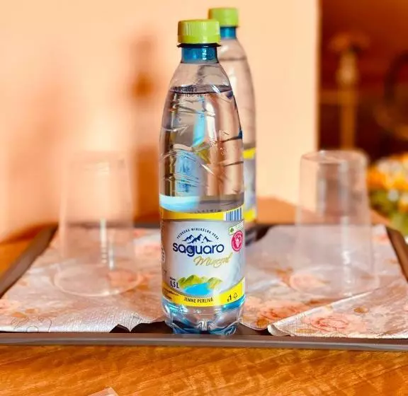 ペンション Penzión Tyché