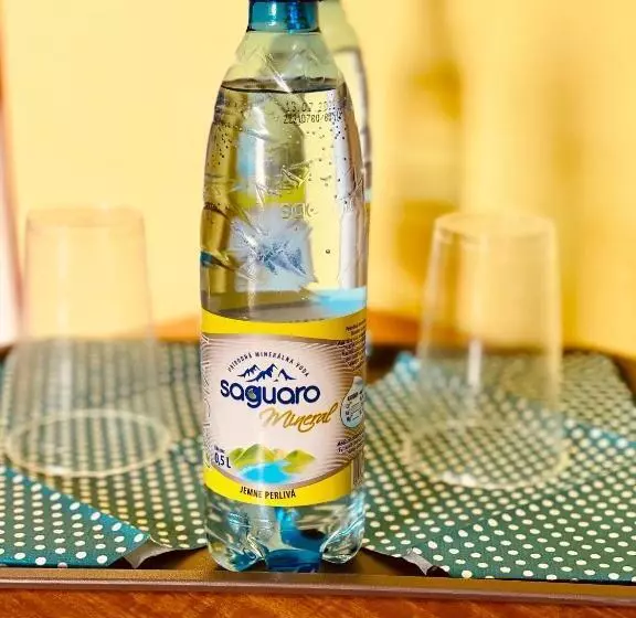 ペンション Penzión Tyché