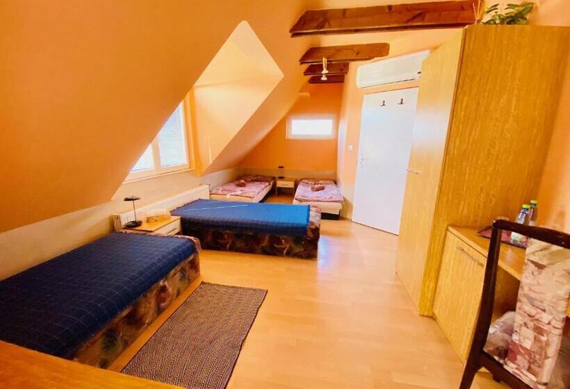 펜션 Penzión Tyché