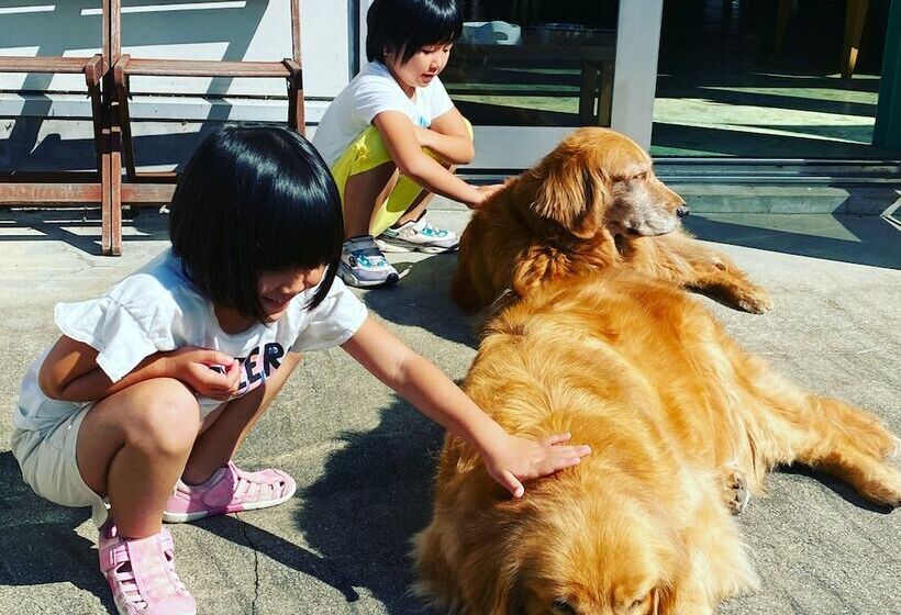 Riverside Hostel B&b – Hostel