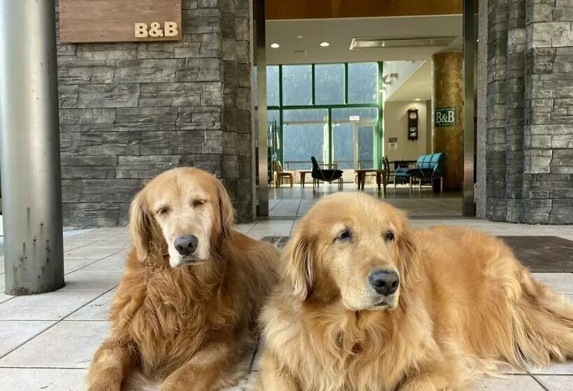 Riverside Hostel B&b – Hostel