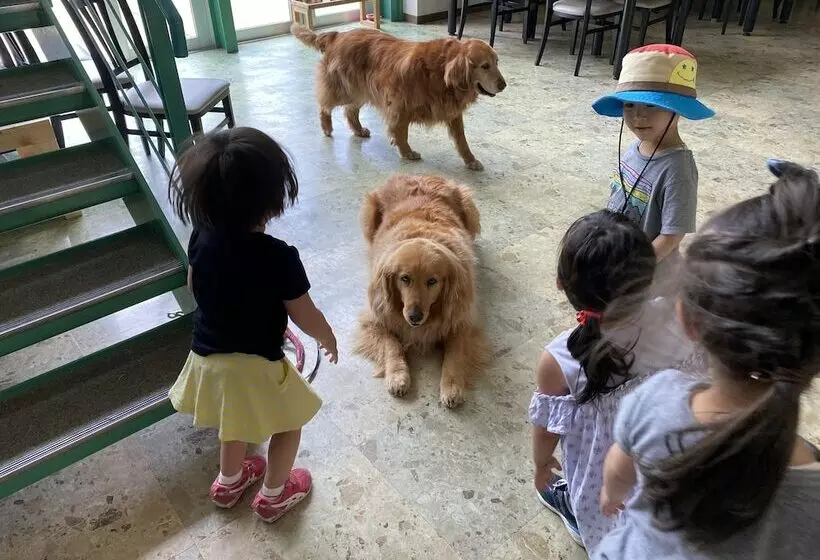 Riverside Hostel B&b – Hostel