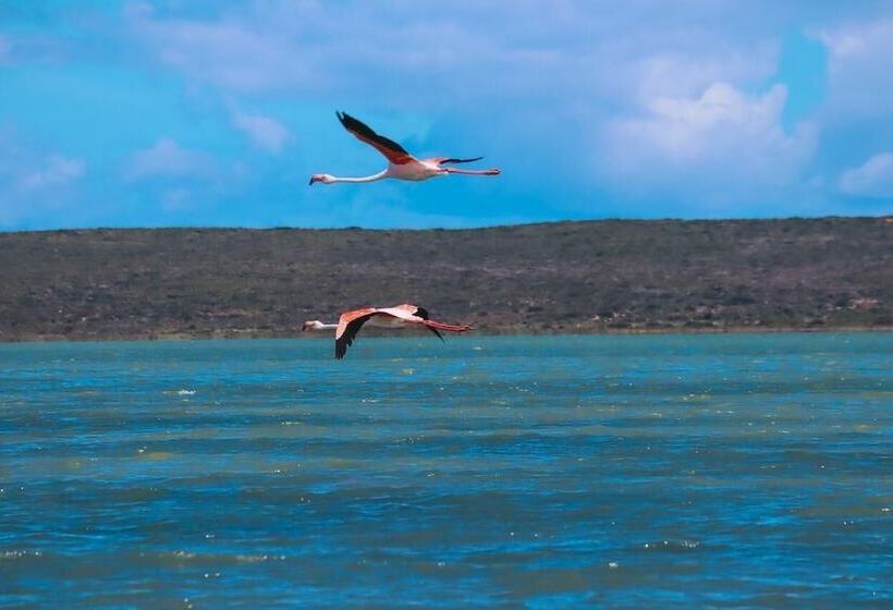 The Shark Bay Boutique Hotel & Spa