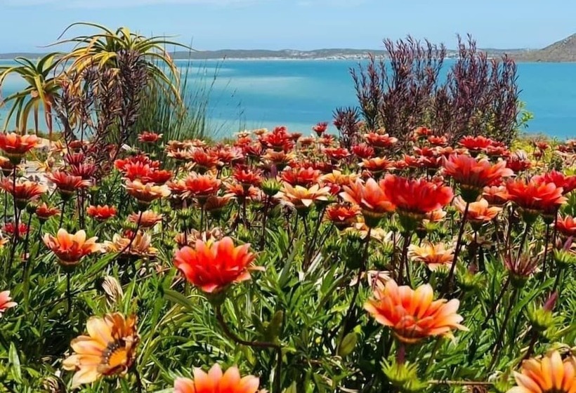 The Shark Bay Boutique Hotel & Spa