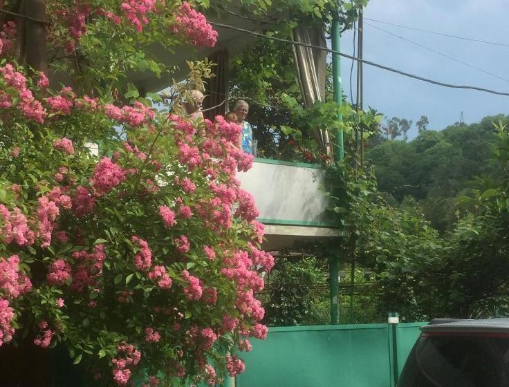 پانسیون у азы