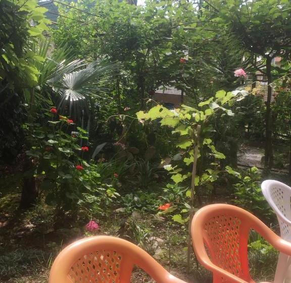 پانسیون у азы