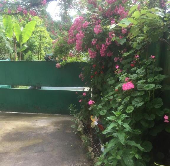 پانسیون у азы