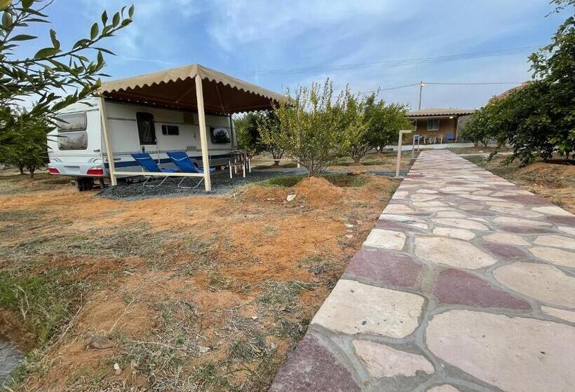 Пансион Naseem Country House