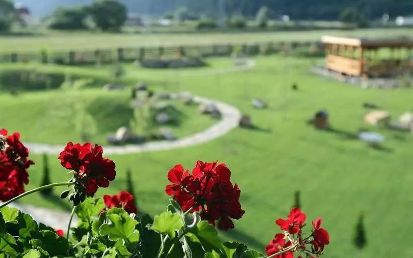 Pensiunea Varvara De Bucovina