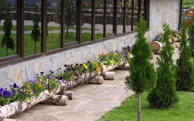 Pensiunea Varvara De Bucovina