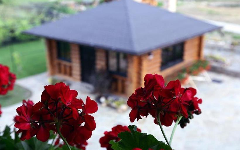 Pensiunea Varvara De Bucovina