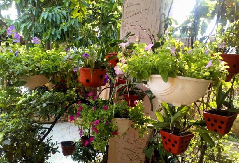 تختخواب و صبحانه Hạ Long Lily Homestay