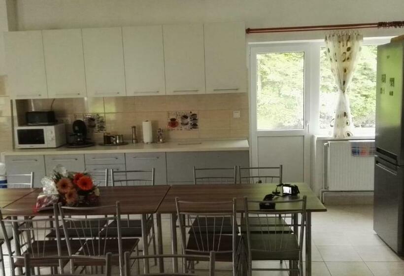 پانسیون Olt Part Vendégház