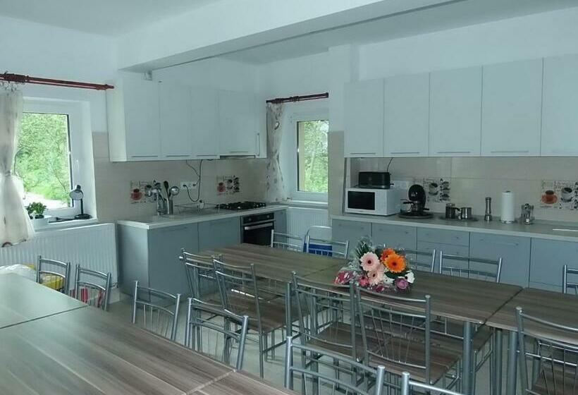 پانسیون Olt Part Vendégház