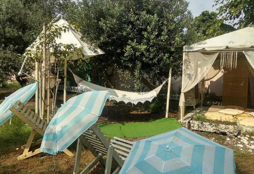 پانسیون Sandro