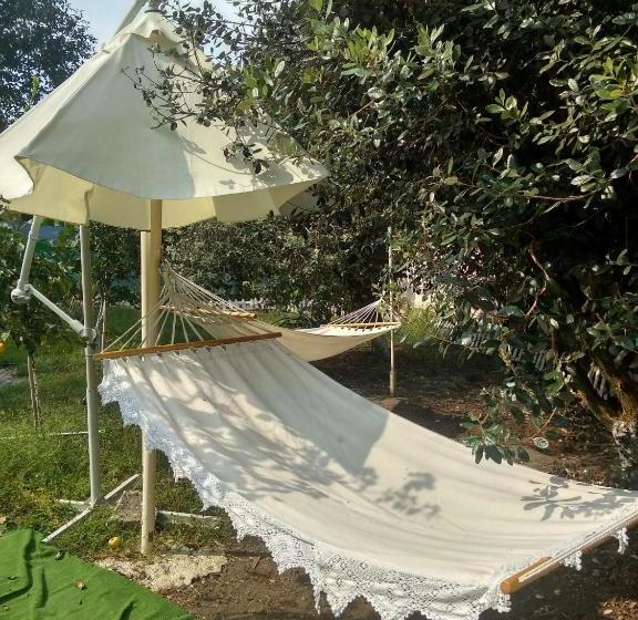 پانسیون Sandro