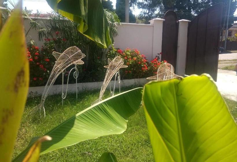 پانسیون Sandro