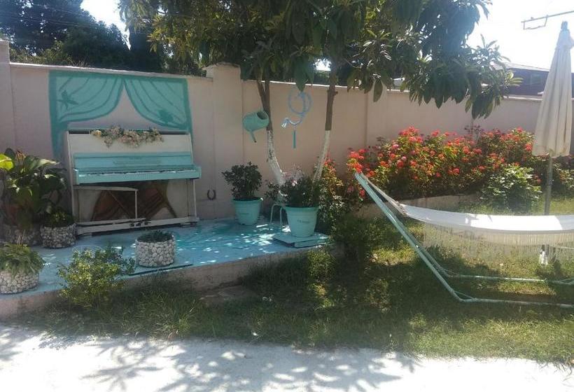 پانسیون Sandro