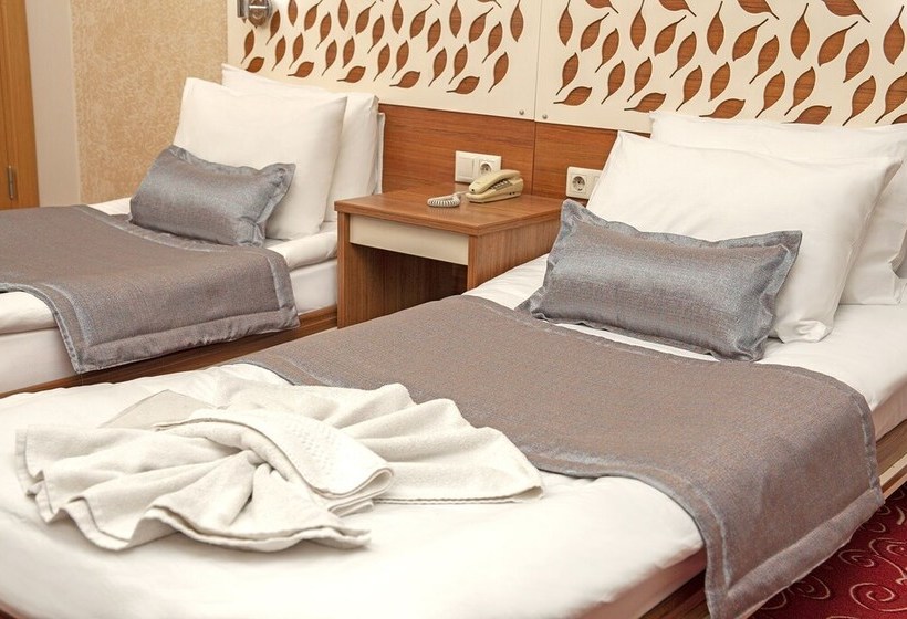 בית מלון כפרי Tulpar Palas