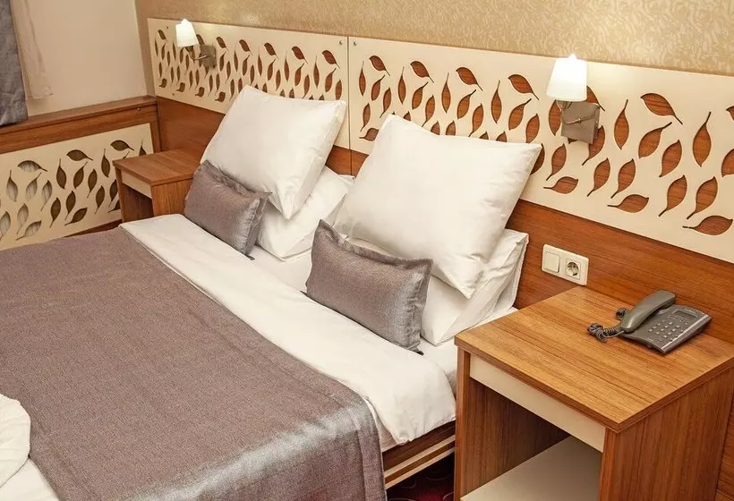 Hotelli Tulpar Palas