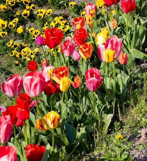 צימר Auberge Du Manoir D'archelles