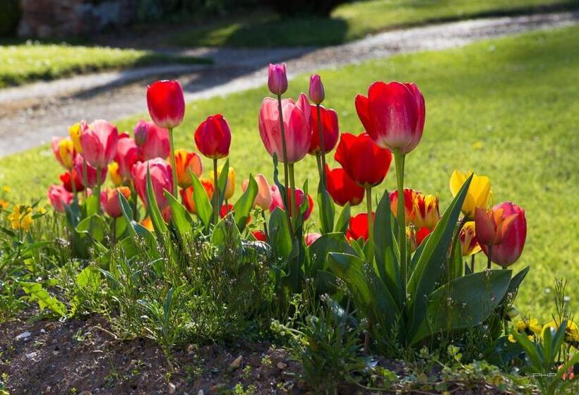 צימר Auberge Du Manoir D'archelles