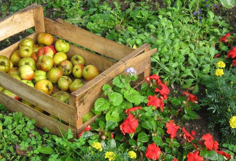 צימר Auberge Du Manoir D'archelles