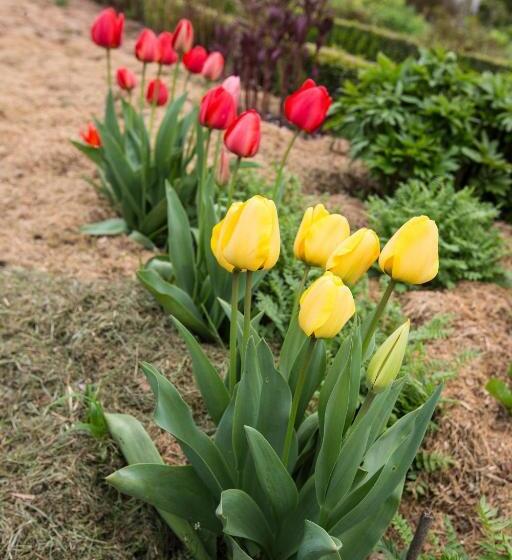 צימר Auberge Du Manoir D'archelles