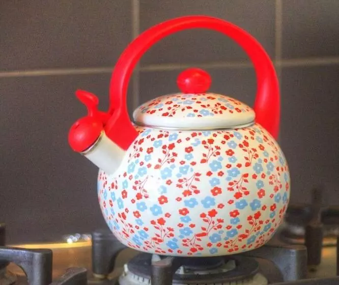 L Escale De Jules Et Lily