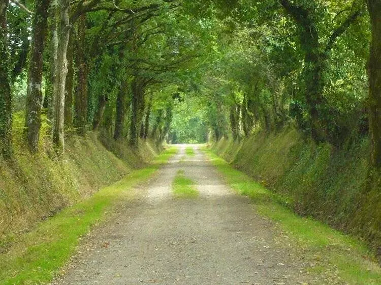 ホテル Camping D Arvor