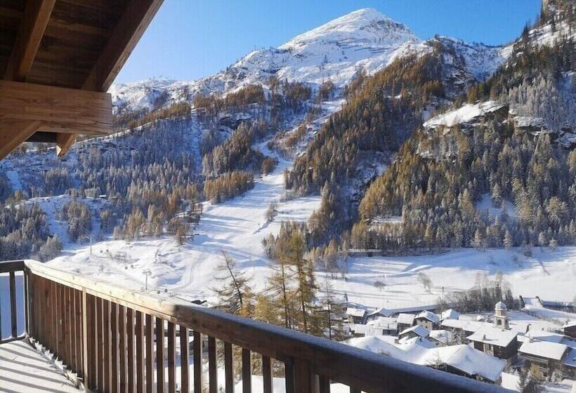 بنسيون Chalet Raven Co Living